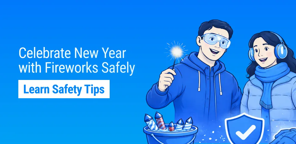 How Can You Celebrate the New Year with Fireworks — Safely?