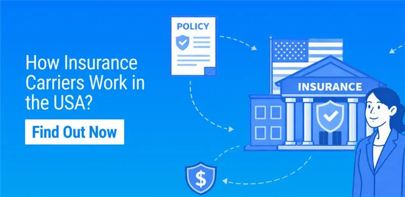 What Is an Insurance Carrier? Definition, Role, and Examples